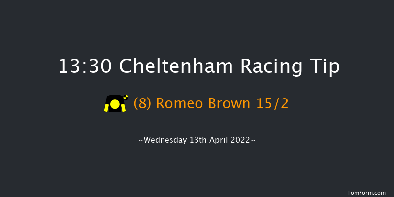 Cheltenham 13:30 Handicap Hurdle (Class 2) 20f Fri 18th Mar 2022