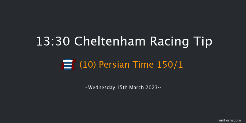 Cheltenham 13:30 Novices Hurdle (Class 1) 21f Tue 14th Mar 2023