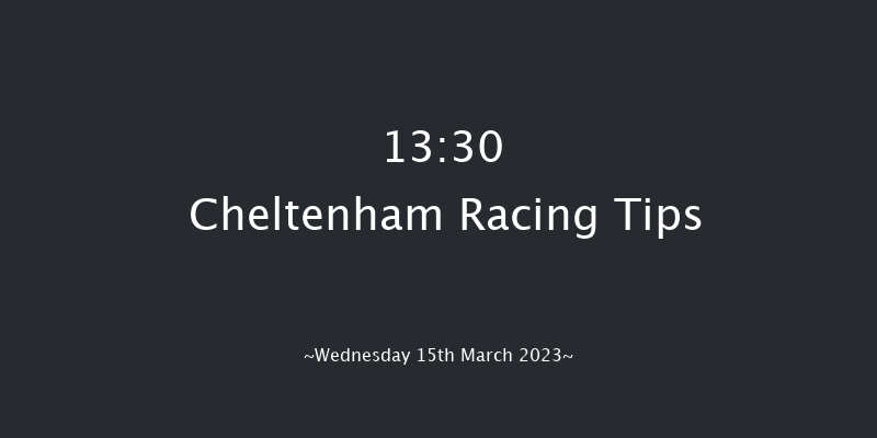 Cheltenham 13:30 Novices Hurdle (Class 1) 21f Tue 14th Mar 2023