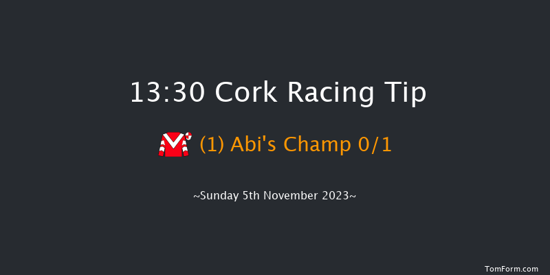 Cork 13:30 Maiden Hurdle 20f Sun 15th Oct 2023
