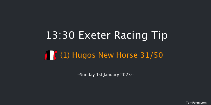 Exeter 13:30 Maiden Hurdle (Class 4) 17f Fri 2nd Dec 2022