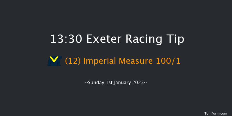 Exeter 13:30 Maiden Hurdle (Class 4) 17f Fri 2nd Dec 2022