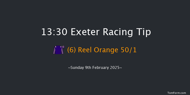 Exeter  13:30 Novices Hurdle (Class 2) 18f Mon 13th Jan 2025