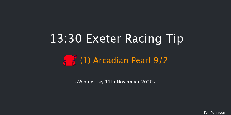 Jumps At Home With Free Racing TV Novices' Hurdle (GBB Race) Exeter 13:30 Maiden Hurdle (Class 4) 17f Tue 3rd Nov 2020