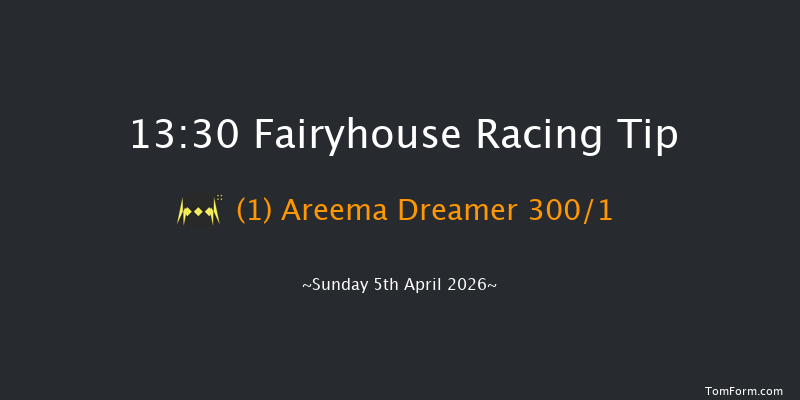 Fairyhouse 13-30 16f Sat 4th Apr 2026