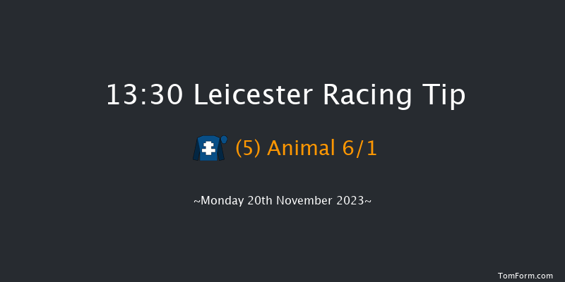 Leicester 13:30 Handicap Chase (Class 4) 23f Tue 17th Oct 2023