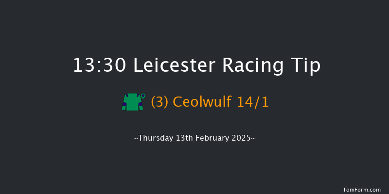 Leicester  13:30 Handicap Chase (Class 5) 20f Tue 21st Jan 2025