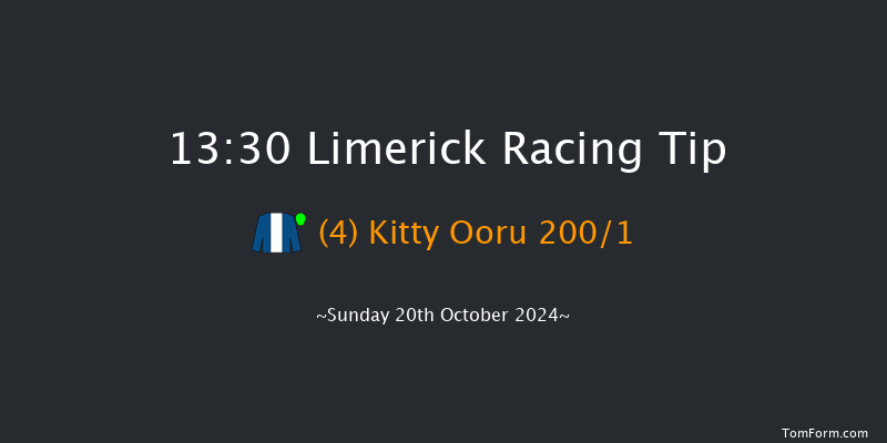 Limerick  13:30 Maiden Hurdle 16f Sat 19th Oct 2024