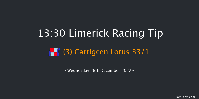 Limerick 13:30 Maiden Chase 22f Tue 27th Dec 2022