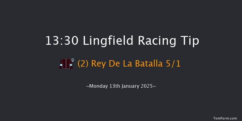 Lingfield  13:30 Handicap (Class 5) 7f Sun 12th Jan 2025