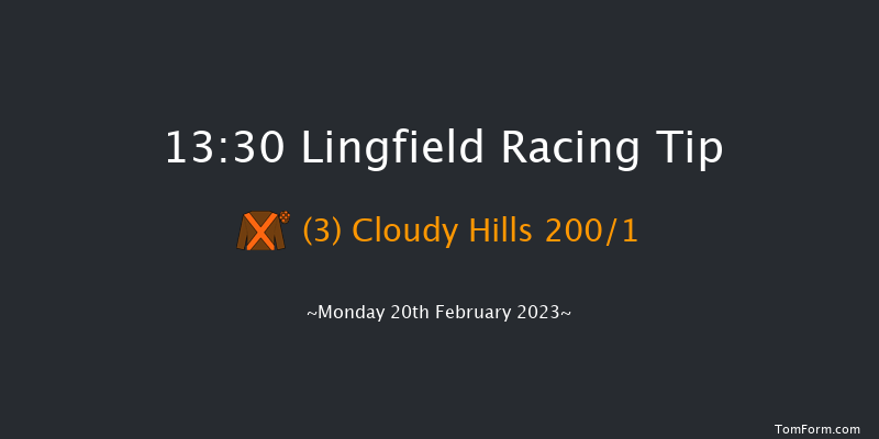 Lingfield 13:30 Maiden Hurdle (Class 4) 20f Sat 18th Feb 2023