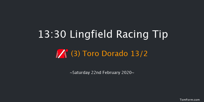 Heed Your Hunch At Betway Handicap Lingfield 13:30 Handicap (Class 5) 10f Fri 21st Feb 2020