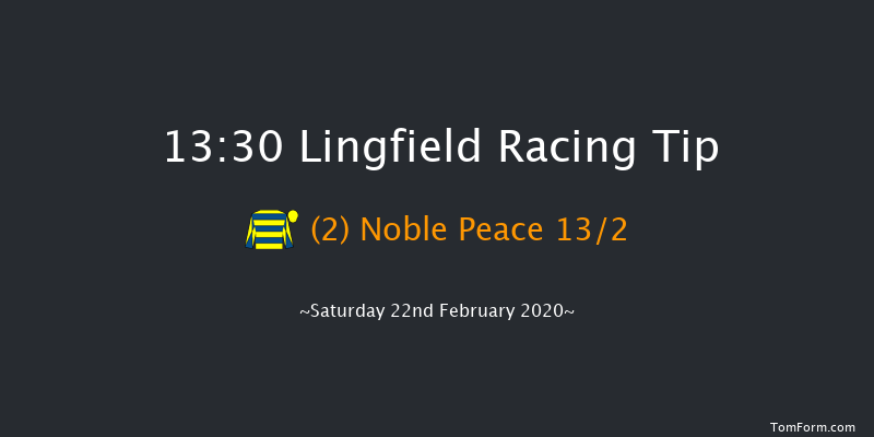 Heed Your Hunch At Betway Handicap Lingfield 13:30 Handicap (Class 5) 10f Fri 21st Feb 2020