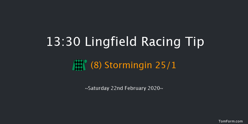 Heed Your Hunch At Betway Handicap Lingfield 13:30 Handicap (Class 5) 10f Fri 21st Feb 2020