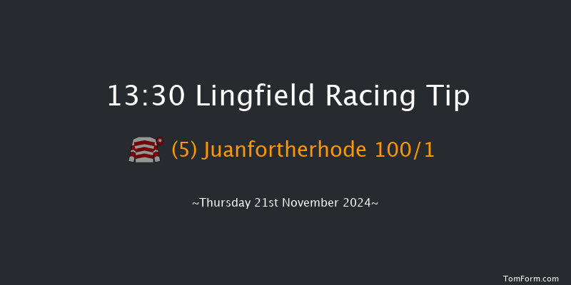 Lingfield  13:30 Stakes (Class 5) 7f Tue 19th Nov 2024