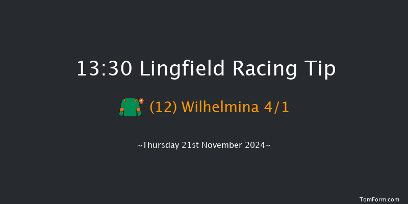 Lingfield  13:30 Stakes (Class 5) 7f Tue 19th Nov 2024