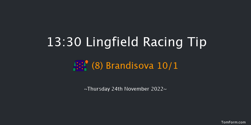 Lingfield 13:30 Handicap Hurdle (Class 5) 20f Sat 19th Nov 2022