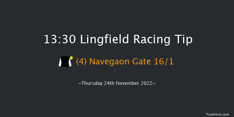 Lingfield 13:30 Handicap Hurdle (Class 5) 20f Sat 19th Nov 2022