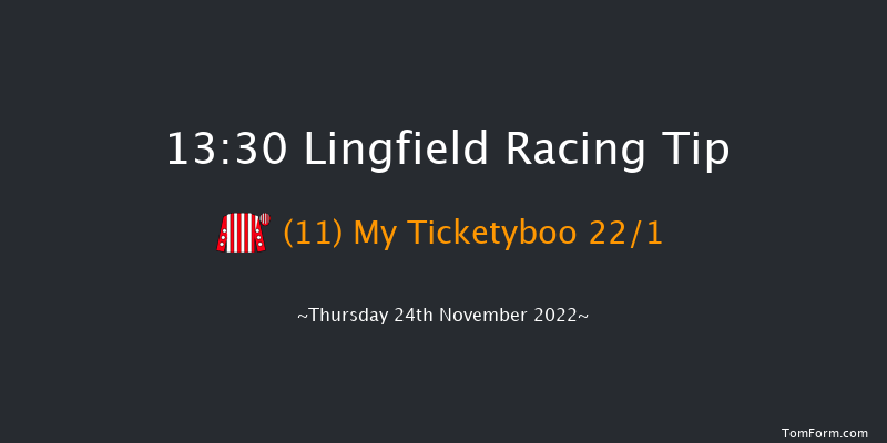 Lingfield 13:30 Handicap Hurdle (Class 5) 20f Sat 19th Nov 2022