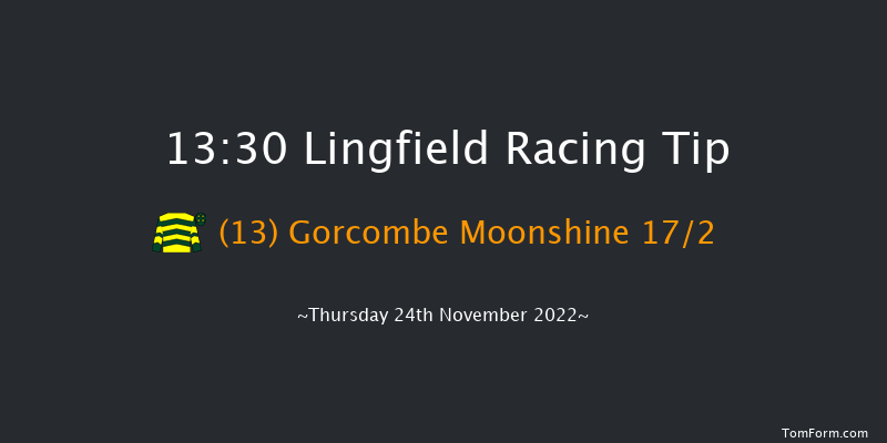 Lingfield 13:30 Handicap Hurdle (Class 5) 20f Sat 19th Nov 2022