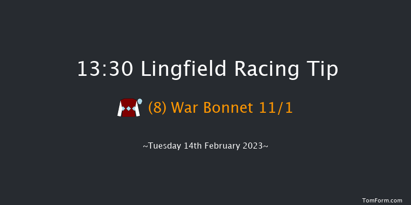 Lingfield 13:30 Stakes (Class 5) 16f Sat 11th Feb 2023
