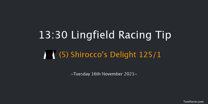 Lingfield 13:30 Novices Hurdle (Class 4) 16f Sat 13th Nov 2021