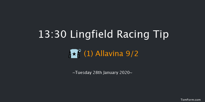 Lingfield 13:30 NH Flat Race (Class 5) 16f Sat 25th Jan 2020