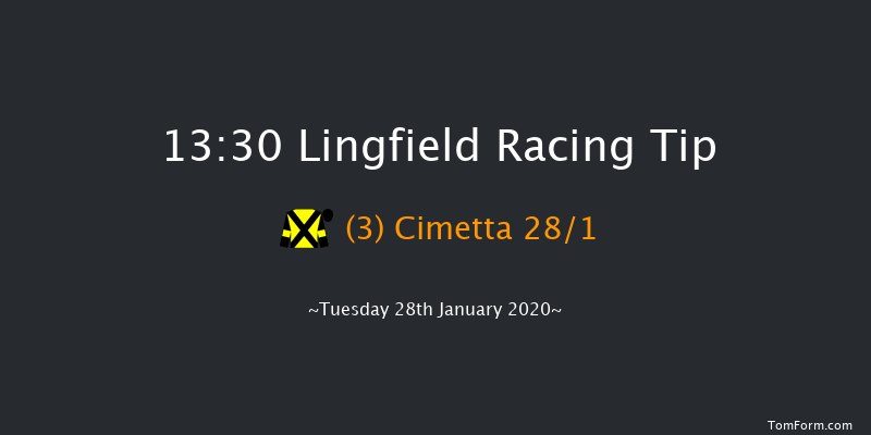 Lingfield 13:30 NH Flat Race (Class 5) 16f Sat 25th Jan 2020
