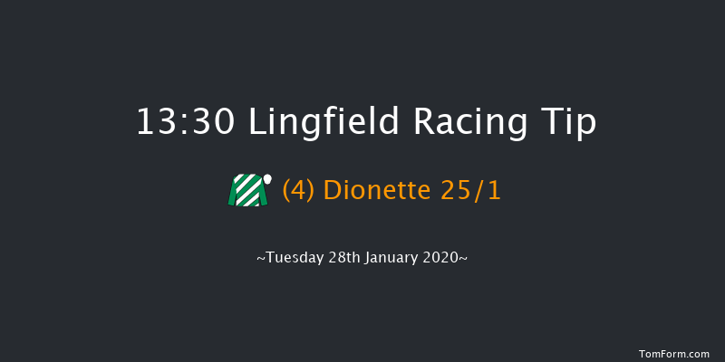 Lingfield 13:30 NH Flat Race (Class 5) 16f Sat 25th Jan 2020