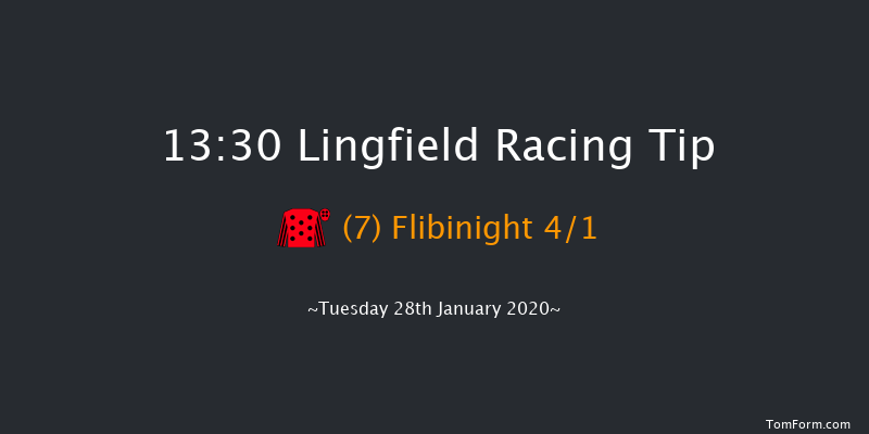 Lingfield 13:30 NH Flat Race (Class 5) 16f Sat 25th Jan 2020
