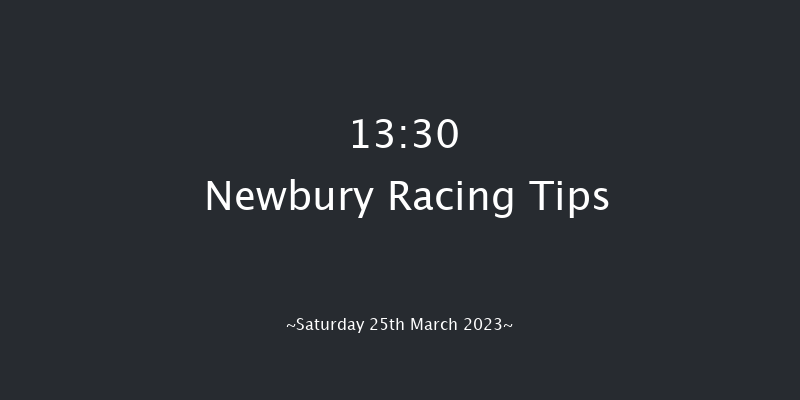 Newbury 13:30 Handicap Hurdle (Class 3) 19f Fri 24th Mar 2023