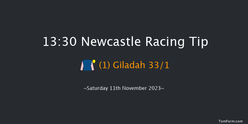 Newcastle 13:30 Listed (Class 1) 10f Fri 10th Nov 2023