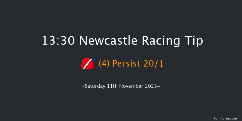 Newcastle 13:30 Listed (Class 1) 10f Fri 10th Nov 2023
