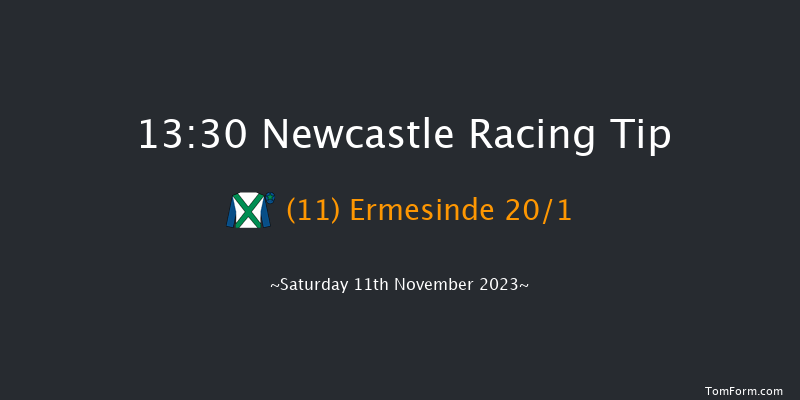 Newcastle 13:30 Listed (Class 1) 10f Fri 10th Nov 2023