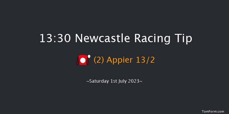 Newcastle 13:30 Handicap (Class 2) 16f Fri 30th Jun 2023