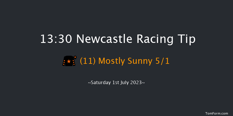 Newcastle 13:30 Handicap (Class 2) 16f Fri 30th Jun 2023