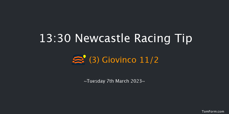 Newcastle 13:30 Maiden Hurdle (Class 4) 20f Fri 3rd Mar 2023