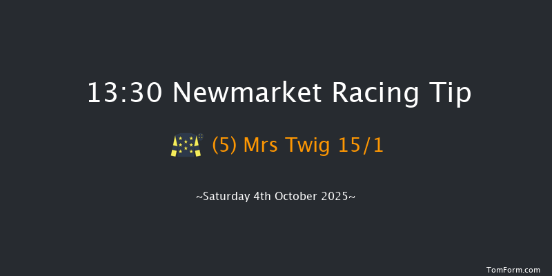 Newmarket 13-30 (Class 2) 10f Sat 27th Sep 2025