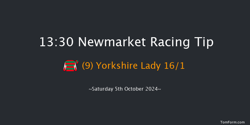 Newmarket  13:30 Handicap (Class 2) 10f Sat 28th Sep 2024