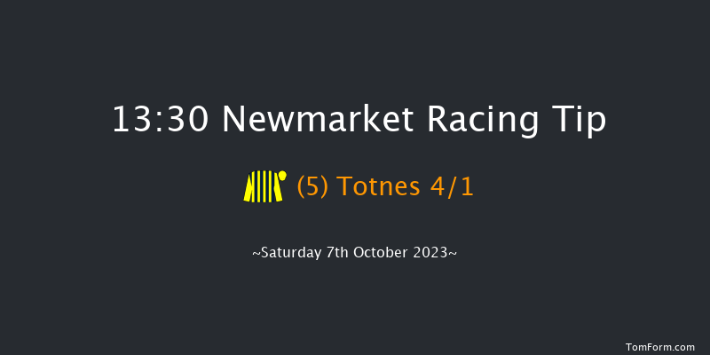 Newmarket 13:30 Handicap (Class 2) 10f Sat 30th Sep 2023