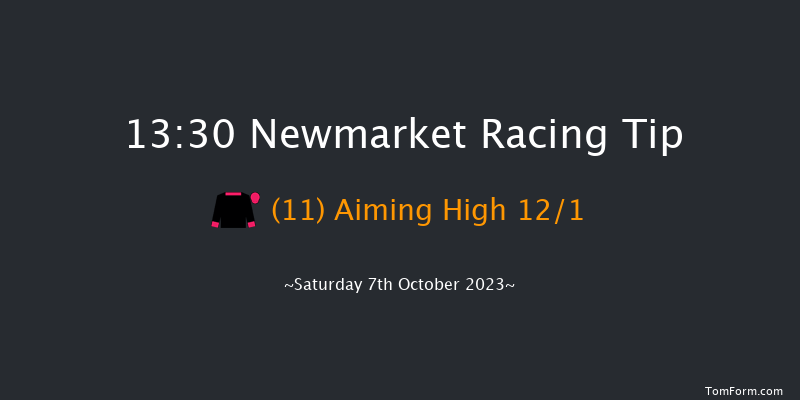 Newmarket 13:30 Handicap (Class 2) 10f Sat 30th Sep 2023