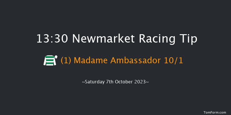 Newmarket 13:30 Handicap (Class 2) 10f Sat 30th Sep 2023