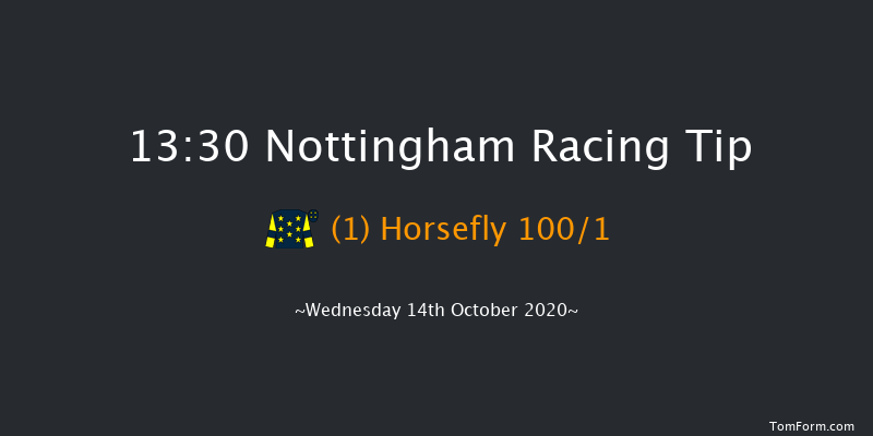 EBF Maiden Fillies' Stakes (Plus 10/GBB Race) Nottingham 13:30 Maiden (Class 5) 8f Wed 7th Oct 2020