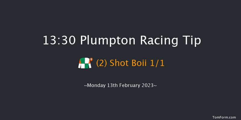Plumpton 13:30 Handicap Hurdle (Class 4) 25f Mon 30th Jan 2023