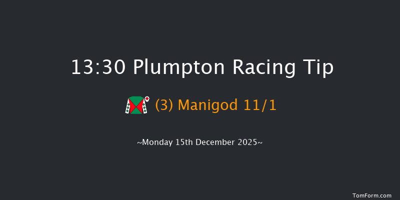 Plumpton 13-30 (Class 4) 20f Mon 1st Dec 2025