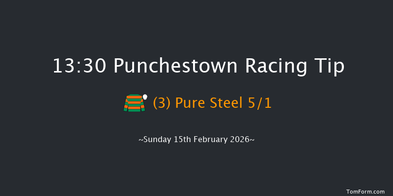 Punchestown 13-30 16f Wed 4th Feb 2026