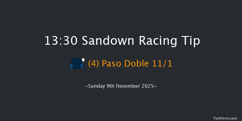 Sandown 13-30 (Class 3) 19f Wed 17th Sep 2025