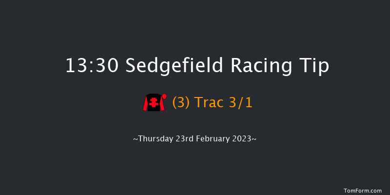 Sedgefield 13:30 Handicap Chase (Class 5) 21f Sun 29th Jan 2023