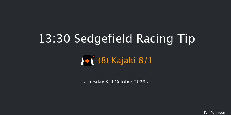 Sedgefield 13:30 Handicap Hurdle (Class 4) 20f Fri 14th Apr 2023