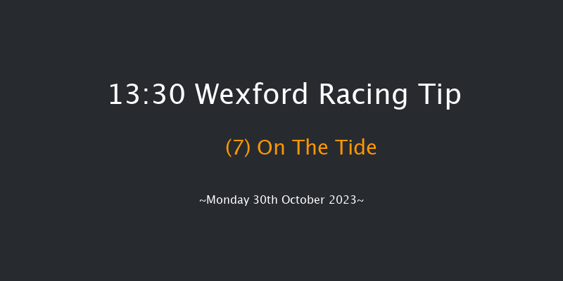 Wexford 13:30 Novices Hurdle 16f Sun 29th Oct 2023